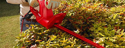 Hedge Trimmers